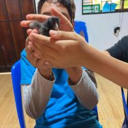 WhatsApp Image 2025-03-28 at 6.43.22 PM